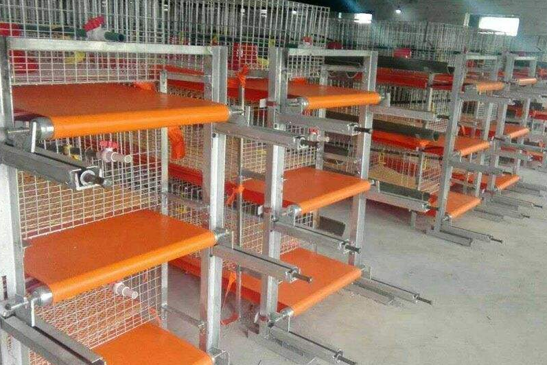 全自动养鸡装备笼子的分类