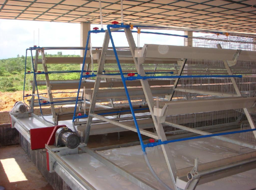 磨练全自动养鸡装备的清静有什么需要注重的事项吗？？