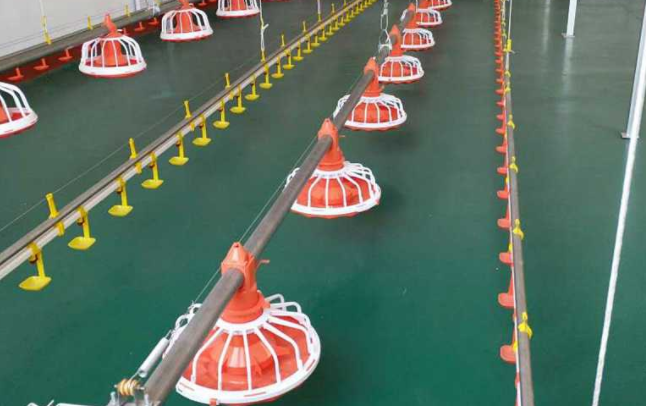 全自动养鸡装备水线的这两个问题你都知道吗？？