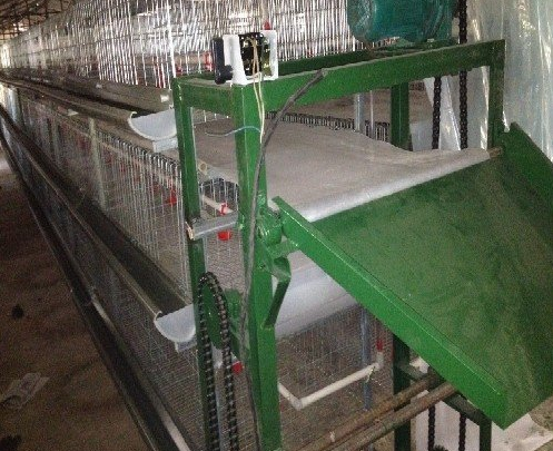 蛋鸡装备传送带式清粪机常见的这些问题你都知道吗？