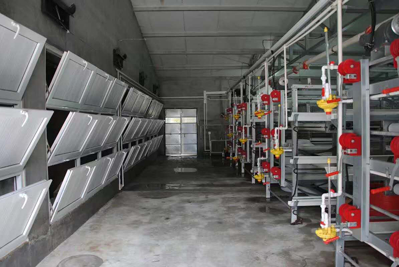 怎样治理肉鸡养殖场的肉鸡装备？？