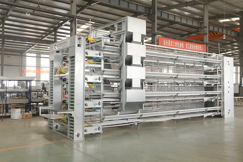 层叠式蛋鸡装备