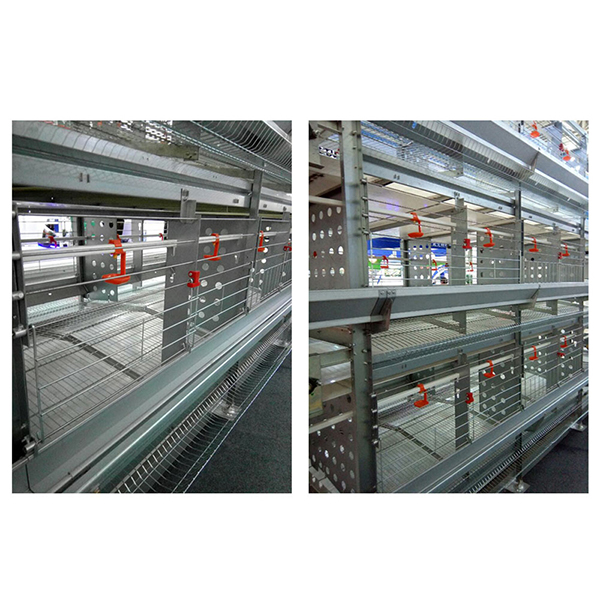 肉鸡装备厂家剖析鸡病频发的原因