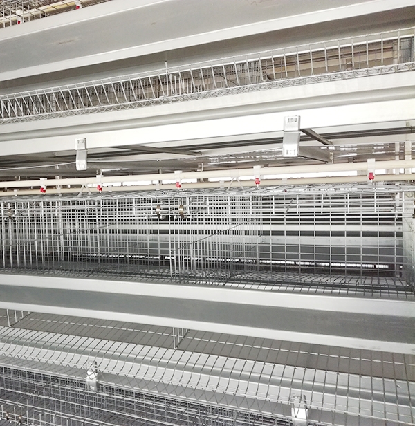 规；；唐返凹Τ〔畋鹆凹ψ氨赣湃醯闫饰 